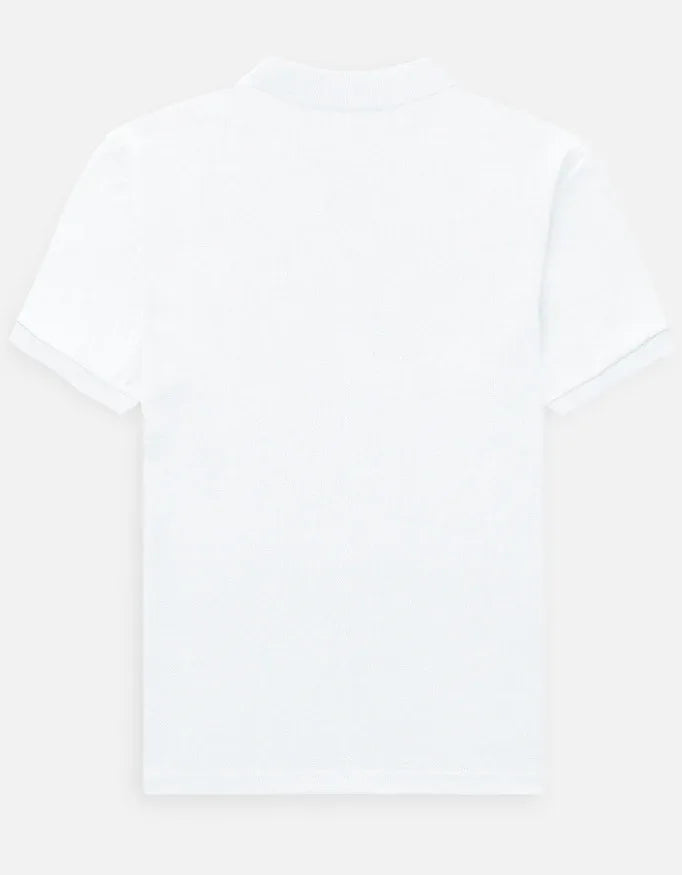 Color_White